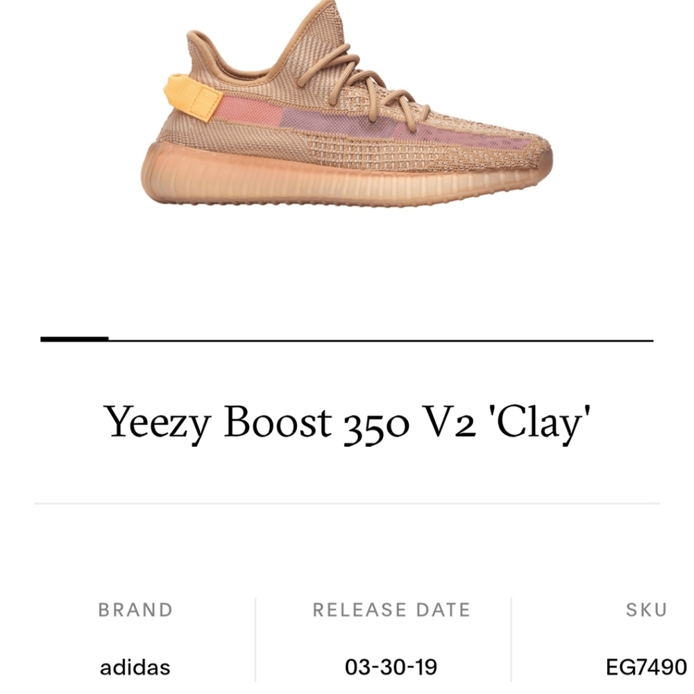 New, Yeezy Boost 350 v2 "Clay" 10.5